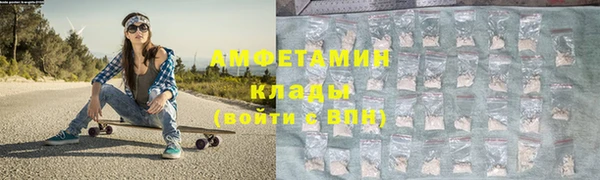 прущие грибы Медногорск