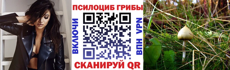сайты даркнета клад  цены   Светлый  Галлюциногенные грибы Cubensis 